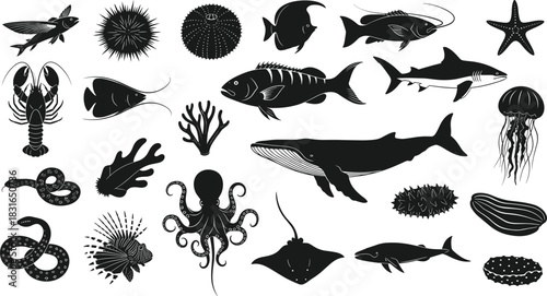 Marine Life Silhouette Collection Featuring Fish, Octopus, Coral, Jellyfish, and Sea Creatures for Ocean, Nature, and Vector Design Use