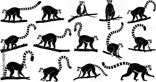 Ring-Tailed Lemur Silhouette Collection Featuring Walking, Sitting, and Climbing Poses for Wildlife, Nature, and Vector Design Illustration Use