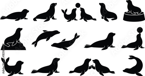 Silhouette set of seal icons in various poses including sitting, lying, balancing balls, leaping, and performing on platforms