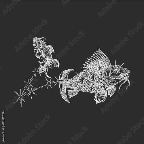 Zodiac constellation of Pisces, astrological sign