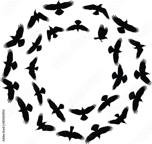 A flock of black birds in silhouette forming a large oval shape against a white background
