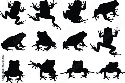 Collection of diverse frog silhouettes in various dynamic poses showcasing their unique anatomy and movement against a white background