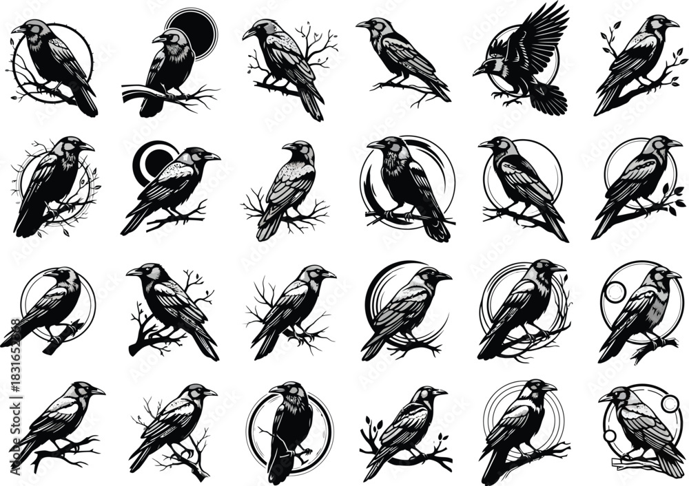 Obraz premium Collection of detailed black and white ink drawings of various birds in different poses and styles
