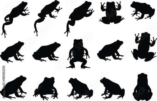 Collection of silhouettes of frogs in various poses and actions on a white background
