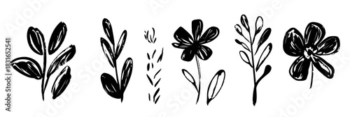 Hand drawn black ink floral elements set with abstract leaves and flowers brush stroke silhouettes minimalistic botanical vector illustration