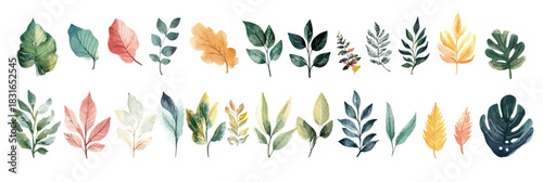 Watercolor botanical collection of diverse autumn leaves and foliage in soft pastel tones arranged on white background for fall design elements