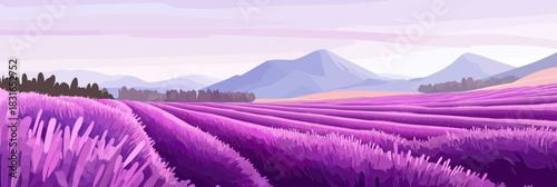 Panoramic lavender field landscape illustration with blooming purple flowers rolling hills and distant mountains in serene minimalist style vector artwork