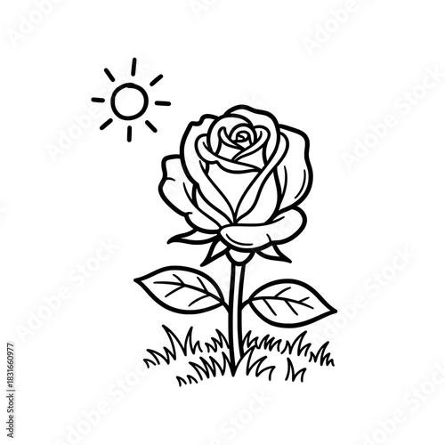 Elegant Rose Illustration A Symbol of Beauty and Simplicity.