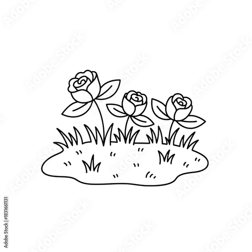 Three Roses in a Garden Patch A Simple Line Drawing.
