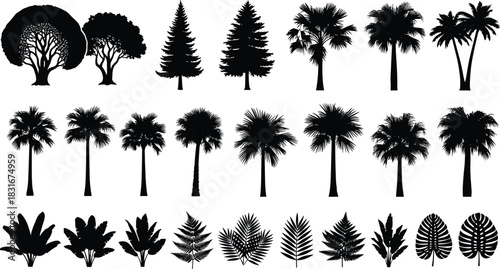 Collection of diverse tree and tropical plant silhouettes, including palm trees, coniferous trees, and various exotic foliage for vector illustration, web design, or landscape graphics set
