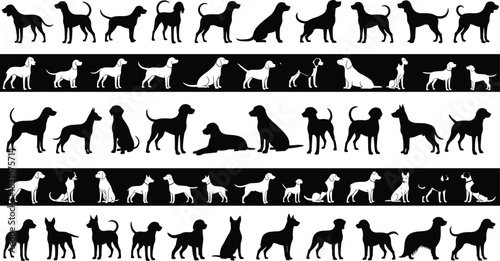 Collection of various dog breeds silhouettes set, different canine poses and sizes vector illustration, black and white domestic animals graphic design elements.