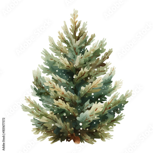 Watercolor painting style Christmas tree with falling snow on green branches  vector on transparent background