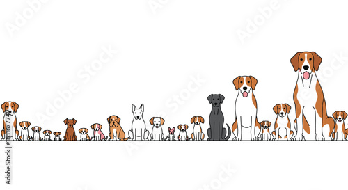 Seamless border illustration featuring a diverse lineup of many different dog breeds sitting side-by-side, creating a cute and continuous pattern.