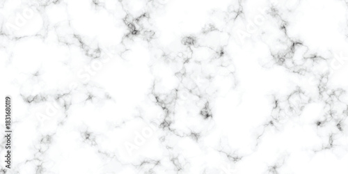 abstract interior beautiful black and white Carrara slab interior tiles gradient luxury ceramic wall and floor kitchen texture background	