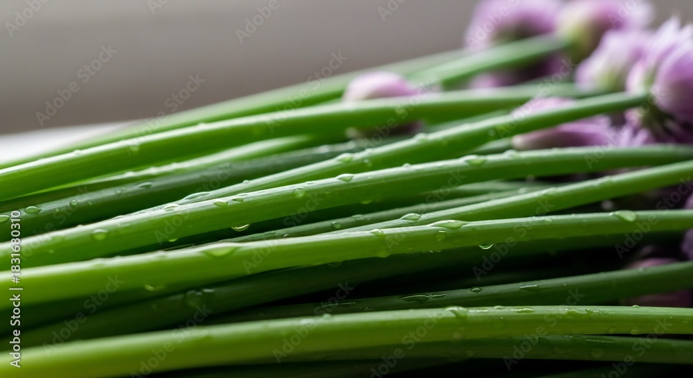Fototapeta premium Freshly picked chives with delicate purple blossoms and glistening droplets of water