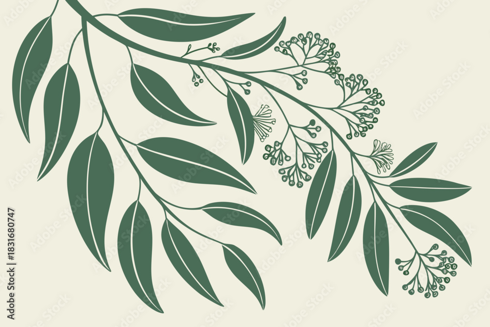 Fototapeta premium Elegant Stylized Eucalyptus Branch with Leaves and Delicate Buds Illustration