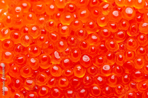 Red Caviar. Closeup of salmon fish roe caviar. Delicatessen. Texture of trout caviar. Chum salmon caviar macro shot.