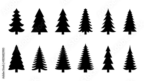 A collection of twelve different black silhouette illustrations of evergreen trees, arranged in two rows against a white background.