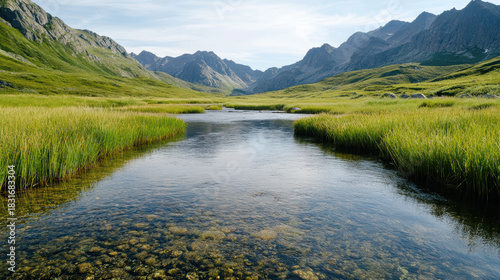 Fototapeta Naklejka Na Ścianę i Meble -  Calm river valley grass river valley mountain grass stream clear water meadow pebble sky