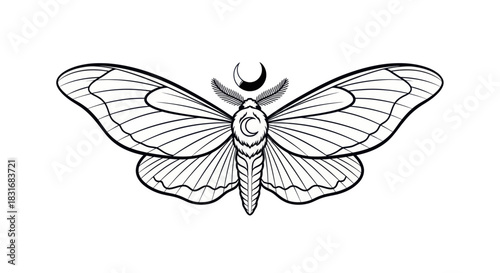 Intricate black and white illustration of a moth with celestial and botanical elements emphasizing