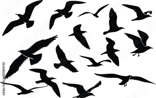 Silhouette flock of seagulls in flight against a white background