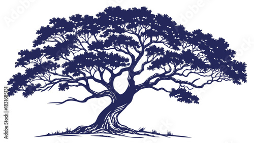 Vector illustration stylized dark blue silhouette of a large, mature, sprawling tree with dense foliage