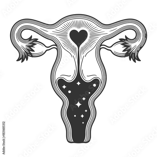 the uterus is surrounded by roses and leaves