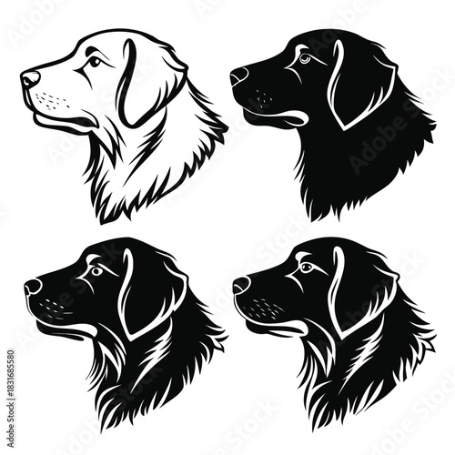 Vector illustration four stylized vector illustrations of a labrador retriever dog head in profile, showing black and white variations
