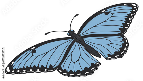 Vector illustration illustration of a blue butterfly with black outlines and markings