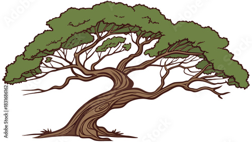 Vector illustration stylized illustration of a mature, gnarled tree with a wide, spreading canopy of green foliage