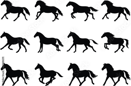 Collection of horse silhouettes in various poses and galloping movements