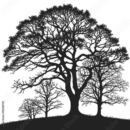 Vector illustration silhouette of a large, mature oak tree with smaller trees on a grassy mound