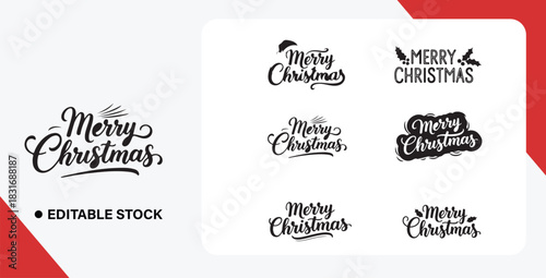 set of calligraphic design elements