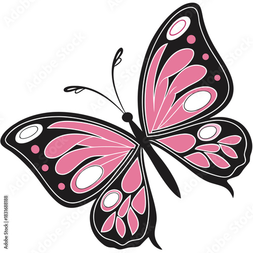 Vector illustration stylized black and pink butterfly illustration with detailed wing patterns