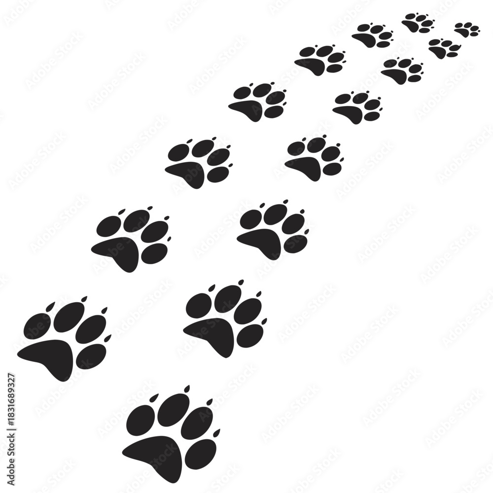 Fototapeta premium Vector illustration path of black animal paw prints walking diagonally across a