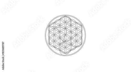 Intricate geometric pattern featuring a complex interconnected web of circles within a circular