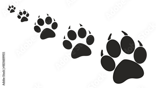 Vector illustration series of increasing size black animal paw prints showing a trail