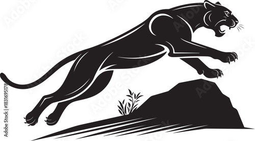 Angry tiger head isolated on white background, vector illustration.