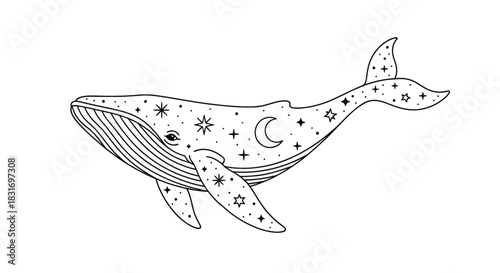 Delicate line art illustration of a whale adorned with celestial patterns including stars crescent