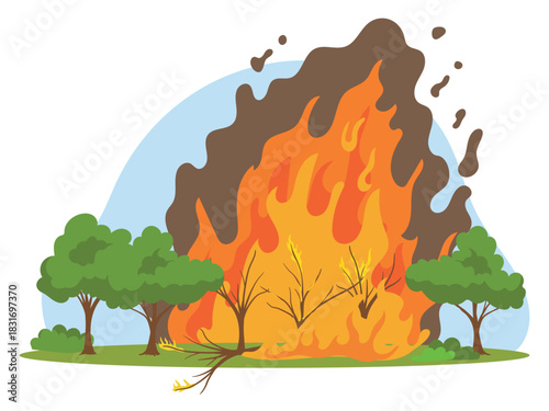 Burning forest trees, natural disasters climate change