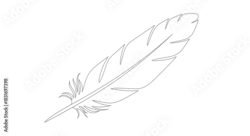Minimalist Line Illustration of a Single Feather Showing Detailed Barbs and Quill