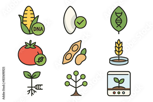 Plant Biotech Icons. Flat icon set of Genetic modification in plants: genetically modified corn, rice grain,