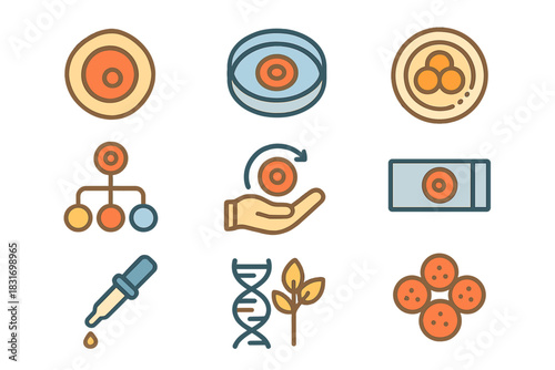 Stem Cell Icon Set. Flat icon set of Stem cell research: stem cell, culture dish, embryo icon, differentiation