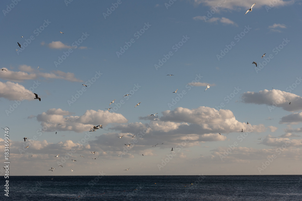 Fototapeta premium Seascape view from mehdia town, Tunisia