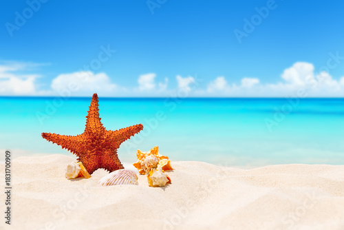 Fototapeta Naklejka Na Ścianę i Meble -  Seashells and starfish on white sandy beach with turquoise water background. Summer beach with strafish and shells