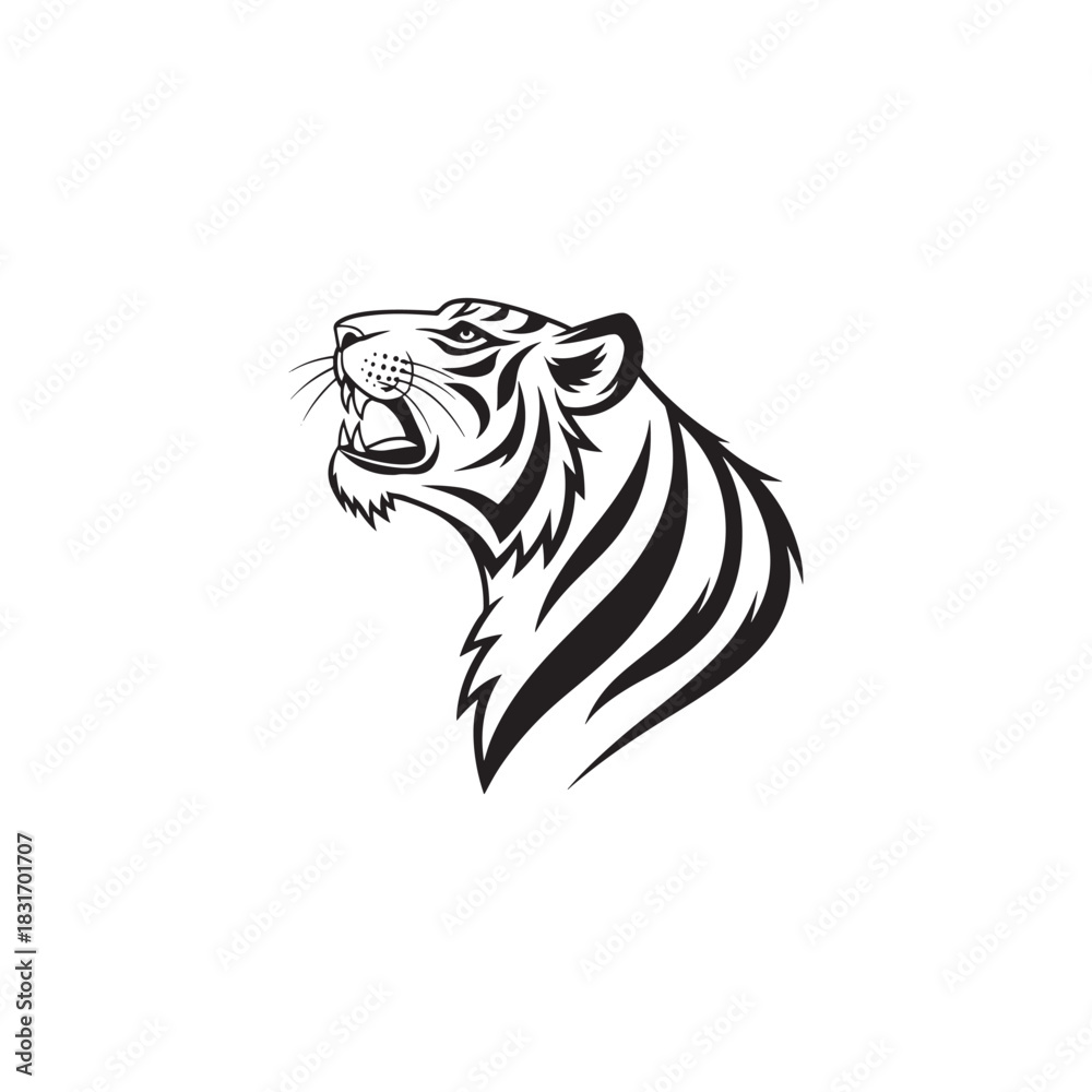 Fototapeta premium Angry tiger head isolated on white background, vector illustration.