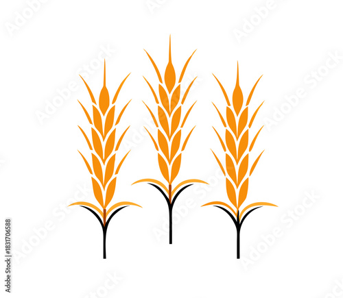 Agriculture wheat Logo. wheat Logo Template vector icon design. Template vector icon design