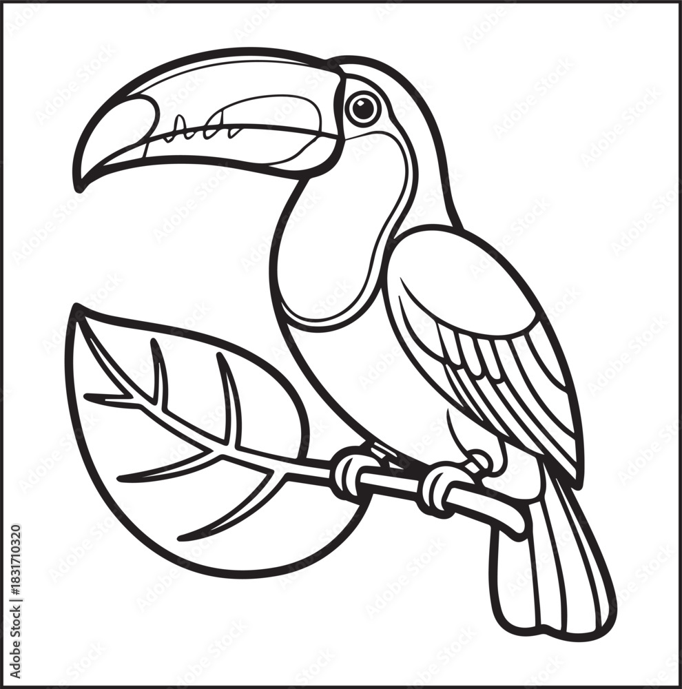 Fototapeta premium Cute adorable toucan coloring page for kids, tropical bird black line art vector illustration doodle