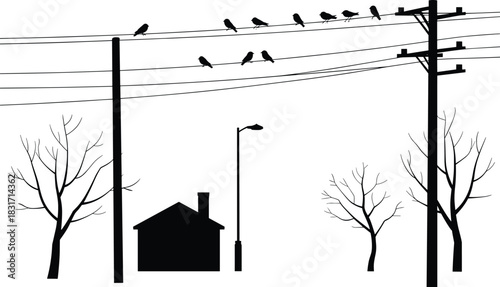 Silhouette of Birds on Power Lines with Bare Trees and House electricity wires