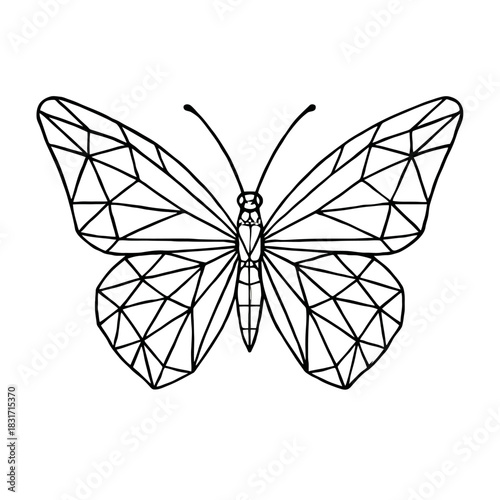 Geometric butterfly design with symmetrical linear patterns.